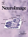 NeuroImage Virtual Microscopy Brain Maps Publication
